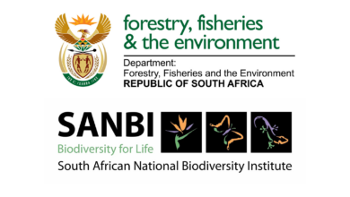 Call for work-integrated learning placement: The Department of Forestry, Fisheries and the Environment (DFFE) in partnership with the South African National Biodiversity Institute (SANBI)