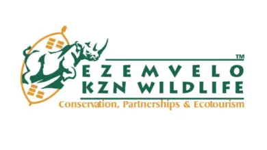 R5 500 - R6 000 per month Ezemvelo KZN Wildlife-Tourism World Work Integrated Learning (WIL) programme (funded by the National Skills Fund)