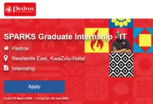 IT SPARKS Graduate Internship for SA graduates at Pedros Chicken