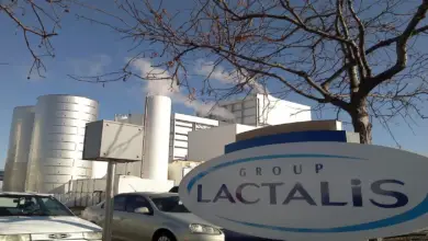 40 Positions Available For The Lactalis SA Internship Programme 2025
