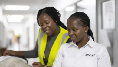 Treasury Accountant post at Glencore South Africa (Johannesburg, Gauteng, South Africa)