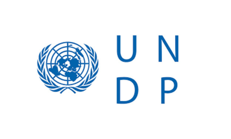Home Based Administrative Analyst opportunity at UNDP 1 Home Based Administrative Analyst opportunity at UNDP