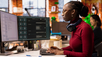 Software Development, Support and Database Administration Internship Programme
