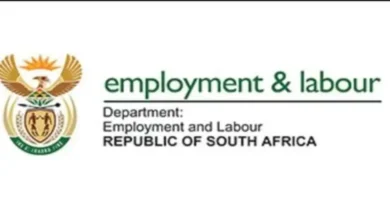 Department of Labour Actively Taking Applications for Team Leader Vacancies