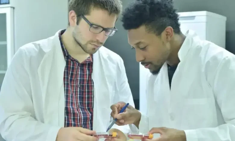 Lab Technician Job Vacancy at South African Breweries- Apply Now