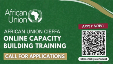African Union CIEFFA Online Capacity Building Training- Applications Now Open