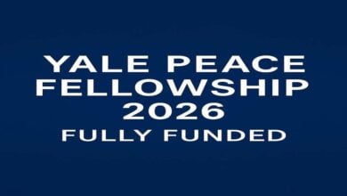 Apply Now- Yale Peace Fellowship Fully Funded Programme