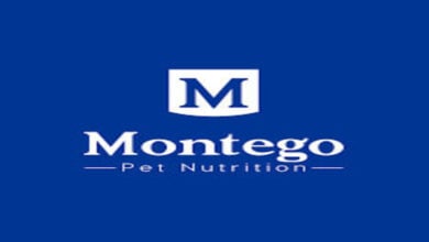 Casual General Worker Job Vacancy At Montego