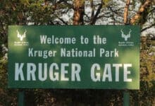 Receptionist Job Opening At Kruger National Park