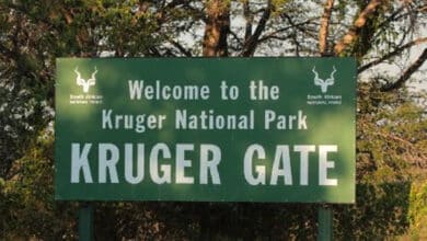 Receptionist Job Opening At Kruger National Park