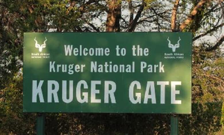 Receptionist Job Opening At Kruger National Park