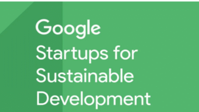 APPLY: Startups for Sustainable Development Program 2025