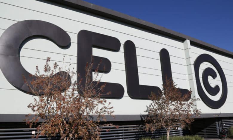 Apply For Cell C Graduate Internship In Various Departments