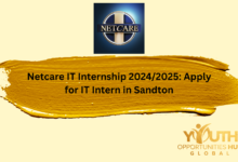 Netcare IT Internship 2024/2025: Apply for IT Intern in Sandton