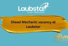 Diesel Mechanic vacancy at Laubstar